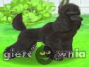 Miniaturka gry: Pretty Poodle