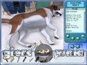 Miniaturka gry: Pet Pals