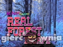 Miniaturka gry: Real Forest Escape