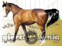 Miniaturka gry: Show Horse