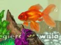 Miniaturka gry: Shining Gold Fish